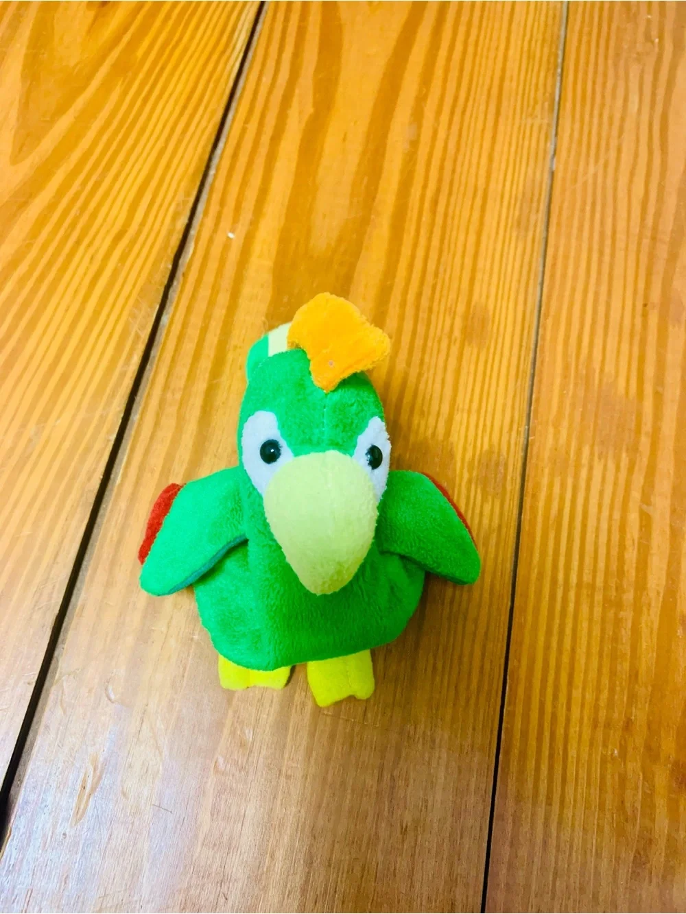 Born Pirates Coloring & Activity Book with 1001 pirate book & Plush Parrot